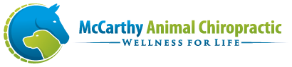 McCarthy Animal Chiropractic